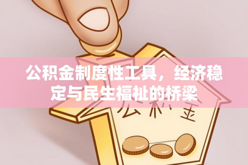 九龙公积金制度性工具，经济稳定与民生福祉的桥梁