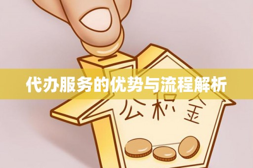 九龙代办服务的优势与流程解析