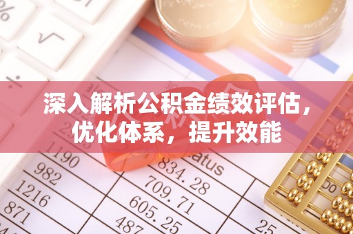 九龙深入解析公积金绩效评估，优化体系，提升效能