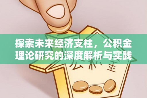 九龙探索未来经济支柱，公积金理论研究的深度解析与实践意义