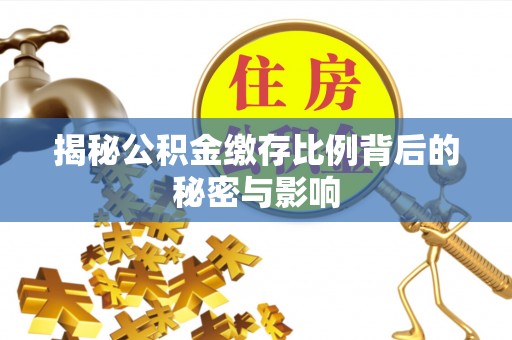 九龙揭秘公积金缴存比例背后的秘密与影响