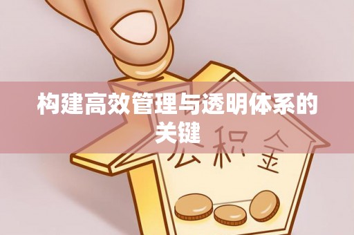 九龙构建高效管理与透明体系的关键