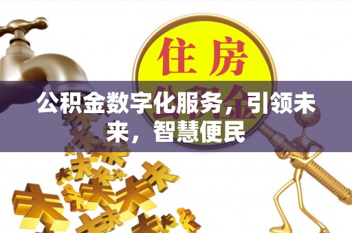 九龙公积金数字化服务，引领未来，智慧便民