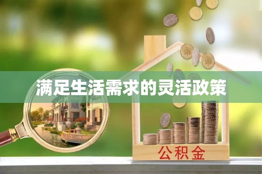 九龙满足生活需求的灵活政策