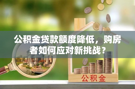 九龙公积金贷款额度降低，购房者如何应对新挑战？