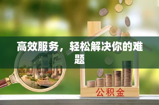 九龙高效服务，轻松解决你的难题