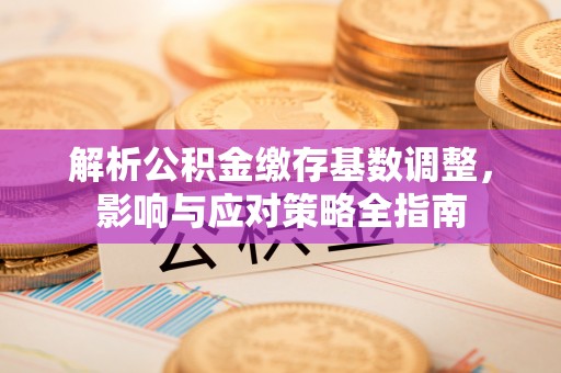 九龙解析公积金缴存基数调整，影响与应对策略全指南