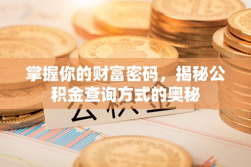 九龙掌握你的财富密码，揭秘公积金查询方式的奥秘