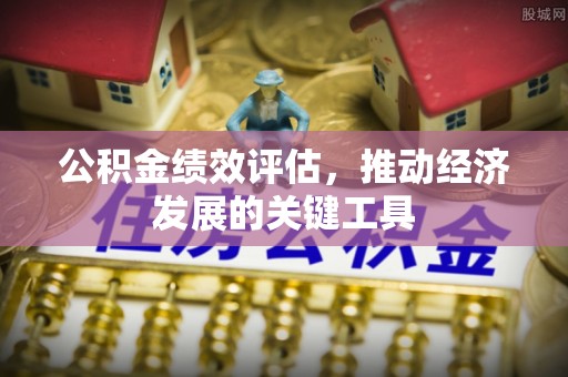 九龙公积金绩效评估，推动经济发展的关键工具