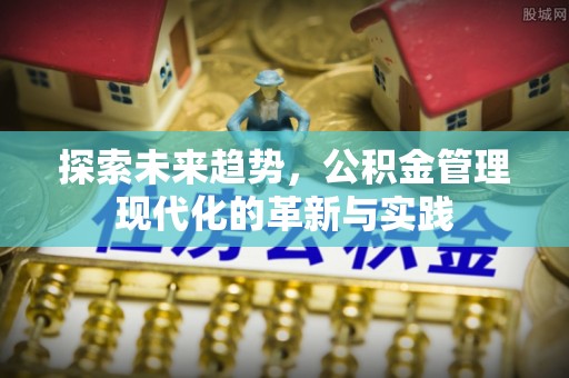 九龙探索未来趋势，公积金管理现代化的革新与实践
