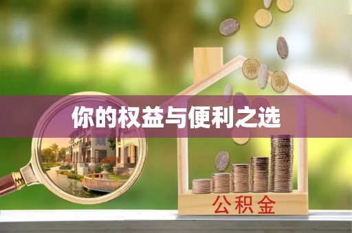九龙你的权益与便利之选