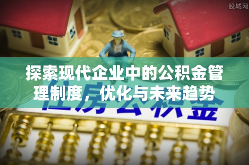 九龙探索现代企业中的公积金管理制度，优化与未来趋势