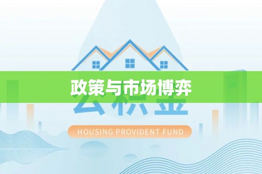 九龙政策与市场博弈