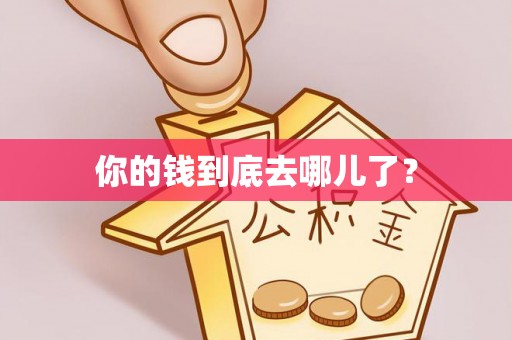 九龙你的钱到底去哪儿了？