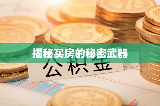 九龙揭秘买房的秘密武器