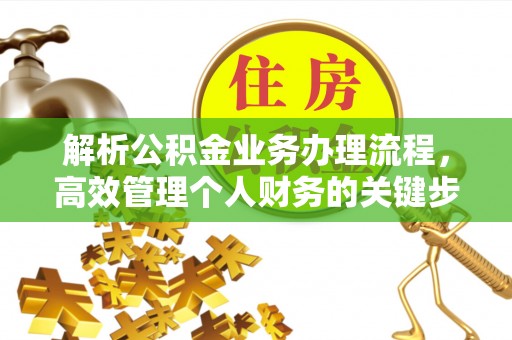 九龙解析公积金业务办理流程，高效管理个人财务的关键步骤