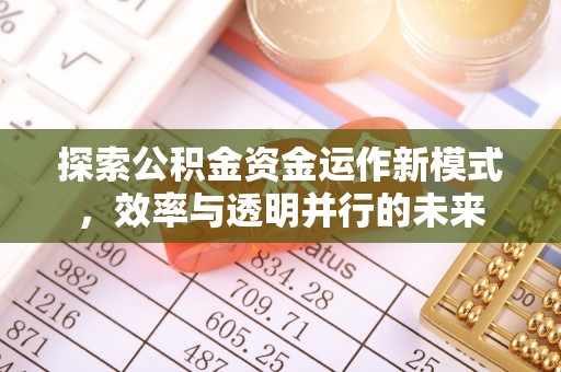 九龙探索公积金资金运作新模式，效率与透明并行的未来