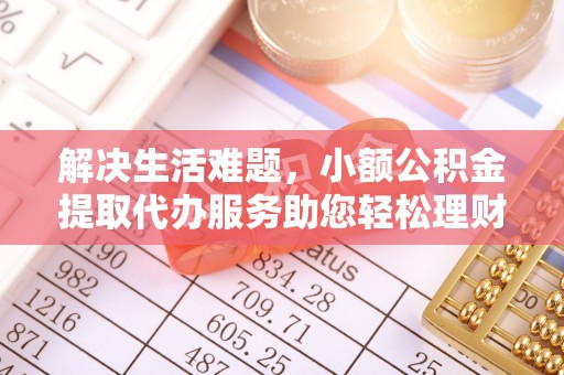 九龙解决生活难题，小额公积金提取代办服务助您轻松理财