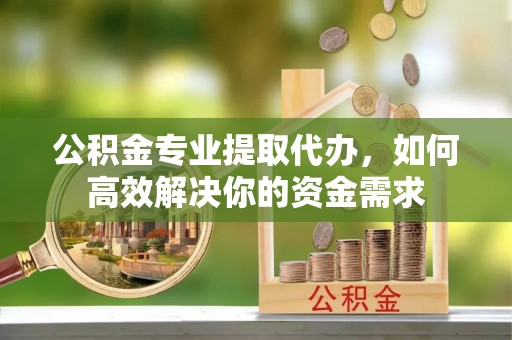 九龙公积金专业提取代办，如何高效解决你的资金需求