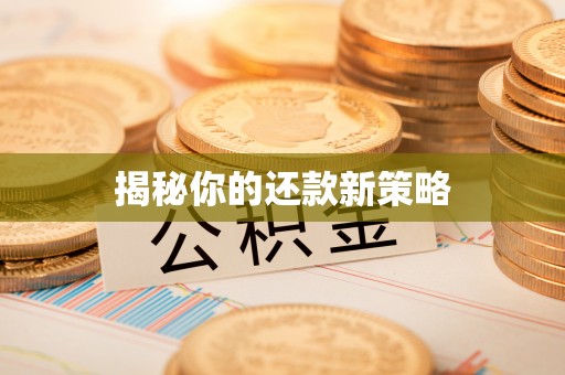 九龙揭秘你的还款新策略