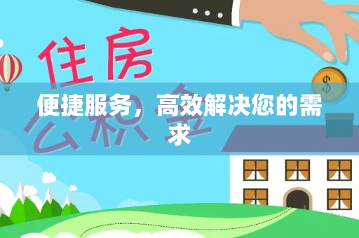 九龙便捷服务，高效解决您的需求