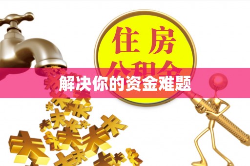 九龙解决你的资金难题