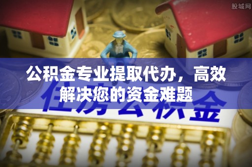 九龙公积金专业提取代办，高效解决您的资金难题
