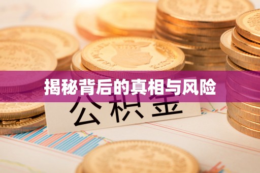 九龙揭秘背后的真相与风险