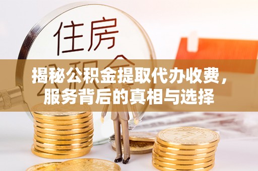 九龙揭秘公积金提取代办收费，服务背后的真相与选择