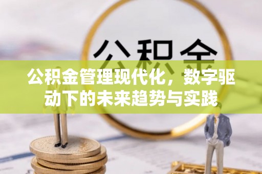 九龙公积金管理现代化，数字驱动下的未来趋势与实践