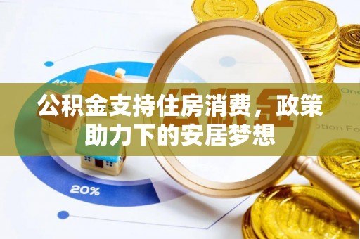 九龙公积金支持住房消费，政策助力下的安居梦想