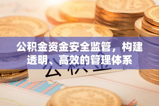 九龙公积金资金安全监管，构建透明、高效的管理体系