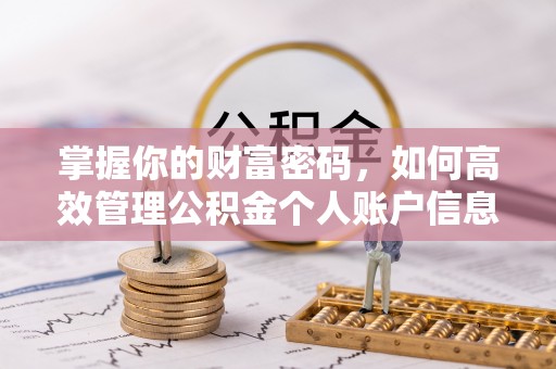 九龙掌握你的财富密码，如何高效管理公积金个人账户信息