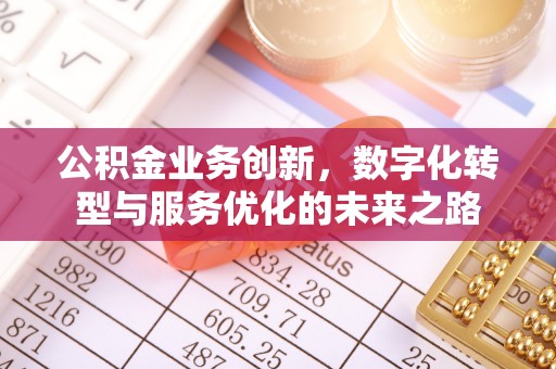 九龙公积金业务创新，数字化转型与服务优化的未来之路