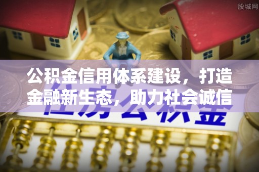 九龙公积金信用体系建设，打造金融新生态，助力社会诚信发展