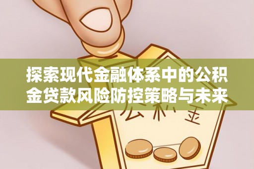 九龙探索现代金融体系中的公积金贷款风险防控策略与未来发展趋势