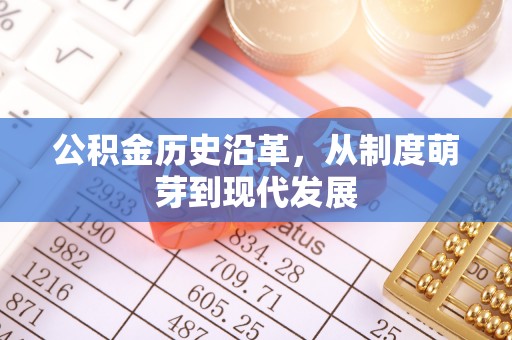 九龙公积金历史沿革，从制度萌芽到现代发展