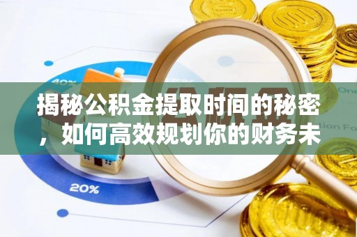 九龙揭秘公积金提取时间的秘密，如何高效规划你的财务未来