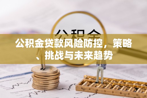 九龙公积金贷款风险防控，策略、挑战与未来趋势