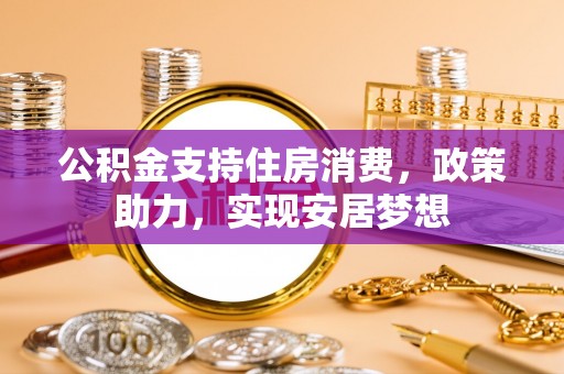 九龙公积金支持住房消费，政策助力，实现安居梦想