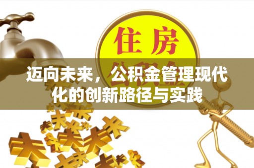 九龙迈向未来，公积金管理现代化的创新路径与实践