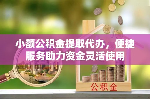 九龙小额公积金提取代办，便捷服务助力资金灵活使用