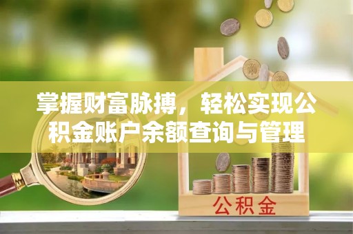 九龙掌握财富脉搏，轻松实现公积金账户余额查询与管理