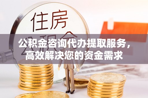 九龙公积金咨询代办提取服务，高效解决您的资金需求