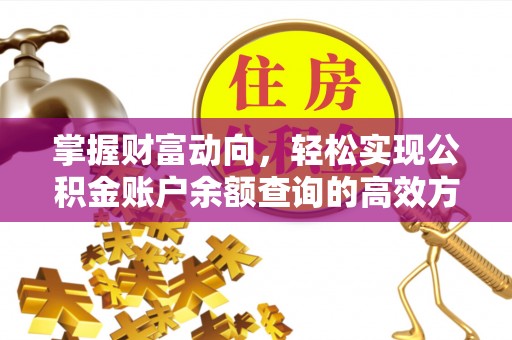 九龙掌握财富动向，轻松实现公积金账户余额查询的高效方式