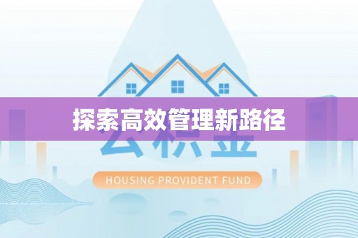 九龙探索高效管理新路径