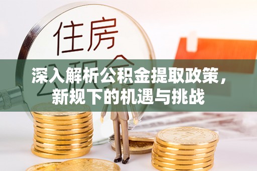 九龙深入解析公积金提取政策，新规下的机遇与挑战