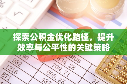 九龙探索公积金优化路径，提升效率与公平性的关键策略