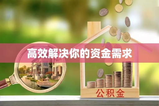 九龙高效解决你的资金需求