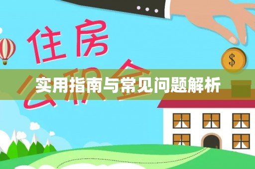 九龙实用指南与常见问题解析
